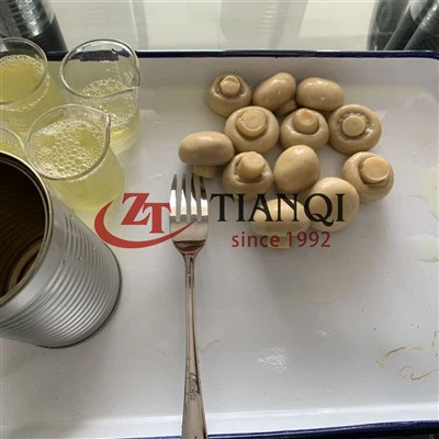 Κονσερβοποιημένα φρέσκα ολόκληρα μανιτάρια Κίνας